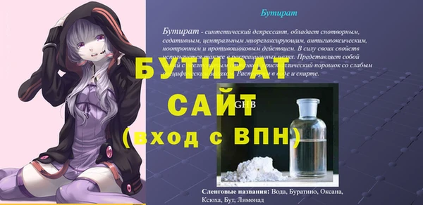 индика Володарск