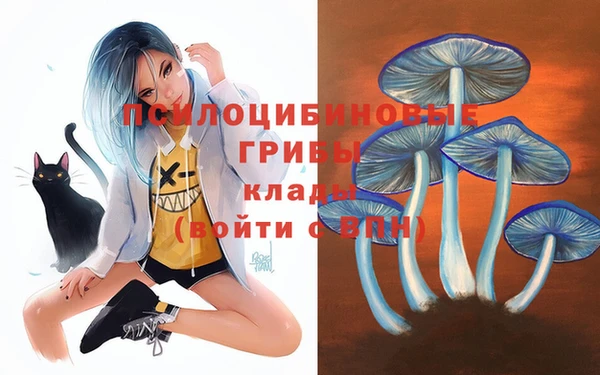 бутират Алексеевка