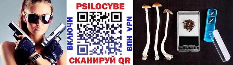 наркошоп  Щигры  Псилоцибиновые грибы Psilocybe 